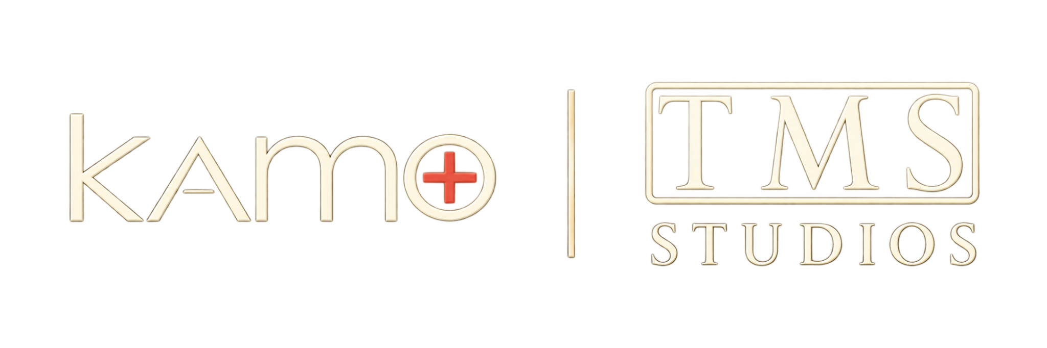 KAMO and TMS Studios